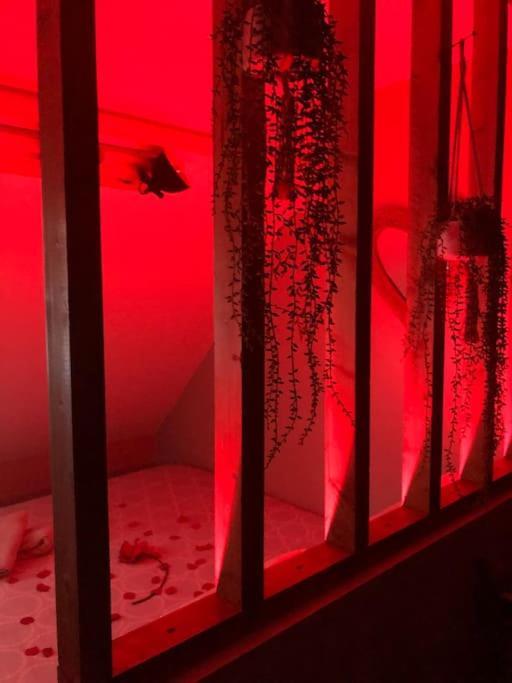 Sejour Detente Au Coeur De Macon Spa,Cine,Bouteille Offerte Dış mekan fotoğraf